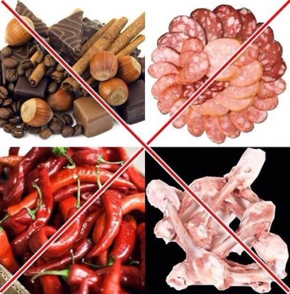 Produse dăunătoare pentru câini decât este imposibil să se hrănească câinele (alimentare) alimente dăunătoare pentru câini decât nu pot hrăni un câine