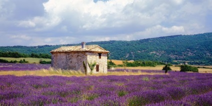 Provence Ghid pentru Provence, atracții, hărți (Saint Tropez) Provence Ghid pentru Provence, atracții, hărți