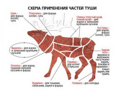 elani carcasă de tăiere (elk) Butchering un elan