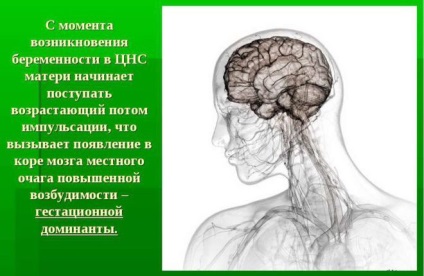 Relaxin în timpul sarcinii (pensionari care au luat) Relaxin în timpul sarcinii