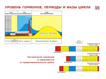 sistemul de reproducere hormon, căsătorie ecologic (sistem) Sistemul de reproducere de hormoni, căsătorie ecologică