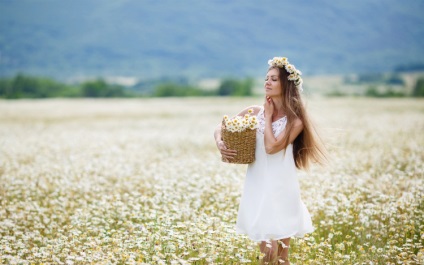 Fotografii și imagini (musetel) Daisies Fotografii și imagini Margarete