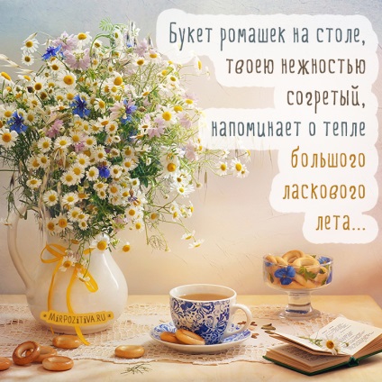 Fotografii și imagini (musetel) Daisies Fotografii și imagini Margarete