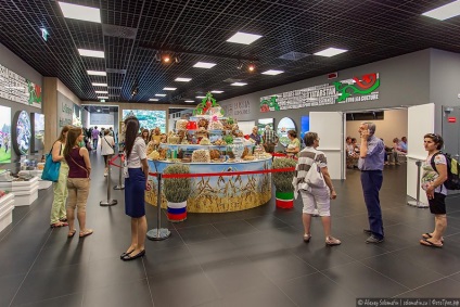 Pavilionul românesc la Expo 2015 milan (Hall) Pavilionul românesc la EXPO 2015 în Milano