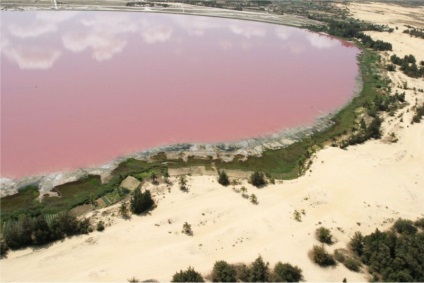 Lacul roz în Senegal Retba (15 poze)