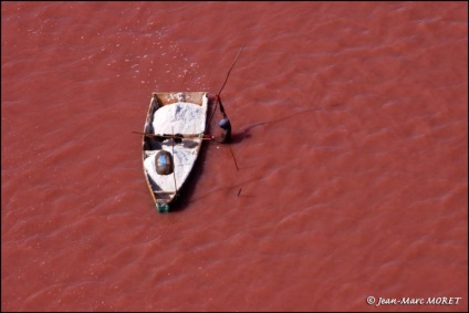 Lacul roz în Senegal Retba (15 poze)