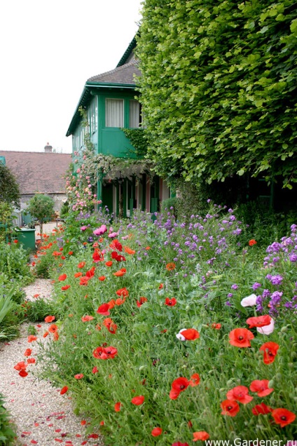 Grădină Claude Monet 1 (covor cu miros întreg) Grădină Claude Monet 1