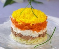 Salata de „Meadow ciuperci“ câteva rețete cu pas cu pas fotografii (ciuperci) Salata de „Meadow ciuperci“ câteva rețete cu pas cu pas fotografii