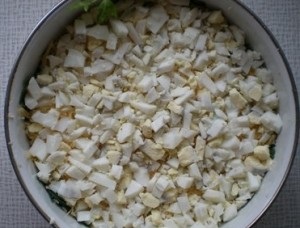 Salata de ciuperci „Meadow“ câteva rețete cu pas cu pas fotografii (luncă reteta salata de ciuperci) Salata de „Meadow ciuperci“ câteva rețete cu pas cu pas fotografii
