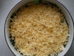 Salata de „Meadow ciuperci“ câteva rețete cu pas cu pas fotografii (compensare) Salata de „Meadow ciuperci“ câteva rețete cu pas cu pas fotografii