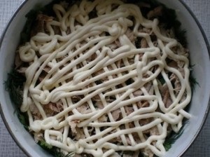 Salata de ciuperci „Meadow“ câteva rețete cu pas cu pas fotografii (luncă reteta salata de ciuperci) Salata de „Meadow ciuperci“ câteva rețete cu pas cu pas fotografii