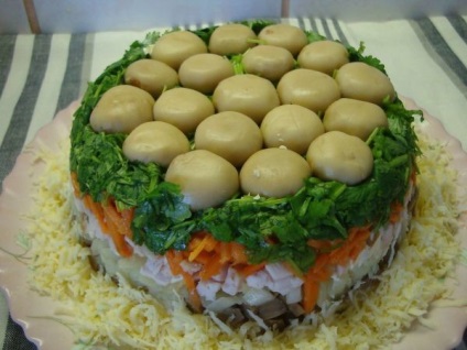 Salata de „Meadow ciuperci“ câteva rețete cu pas cu pas fotografii (compensare) Salata de „Meadow ciuperci“ câteva rețete cu pas cu pas fotografii