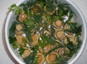 Salata de ciuperci „Meadow“ câteva rețete cu pas cu pas fotografii (reteta salata de luncă de ciuperci cu pas cu pas fotografii) Salata de „Meadow ciuperci“ câteva rețete cu pas cu pas fotografii