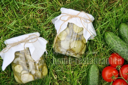 salata de castraveti cu ceapa pentru iarna „Gulliver“ (Gulliver) salata de castraveti cu ceapa pentru iarnă „Gulliver“