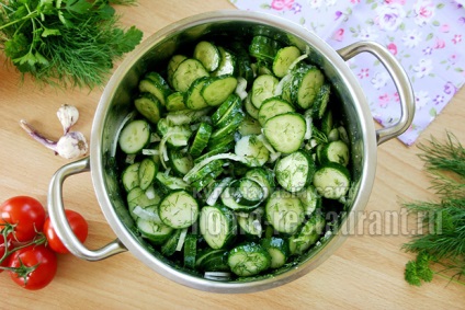 salata de castraveti cu ceapa pentru iarnă „Gulliver“ (castraveți) salata de castraveti cu ceapa pentru iarnă „Gulliver“
