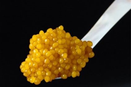Cele mai scumpe produse alimentare (alimente scumpe) Cele mai scumpe alimente