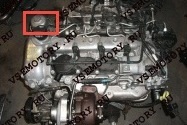 înlocuirea de sine a uleiului de motor (toate modelele) - motorul - Club Opel Antara (motor) înlocuirea de sine a uleiului de motor (toate modelele) - motorul - Club opel Antara