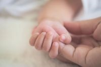 beneficiile de Nord trebuie să fie păstrate, opinii, bani, argumente și fapte (de nord) beneficiile de Nord trebuie să fie păstrate, opinii, bani, argumente și fapte