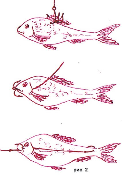 Pike și tijă float (undiță float) Pike și tijă float