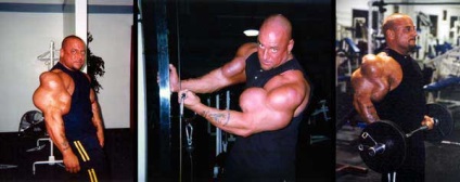 Synthol (synthol)