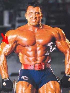 Synthol (synthol) (synthol) Synthol (synthol)