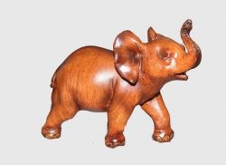 Elefanții de Feng Shui (Feng Shui) Elefanții pe Feng Shui