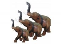 Elefanții de Feng Shui (Feng Shui Feng Shui Elephants) Elefanții pe Feng Shui