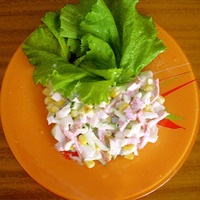 salate mixte în fiecare zi - produse diferite, combinații neașteptate (fiecare) salate mixte în fiecare zi - produse diferite, combinații neașteptate