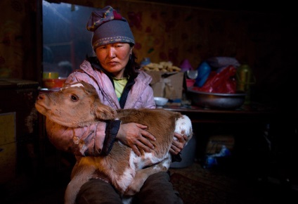 Evenimentele din lumea animalelor «știri în fotografie (animale) Evenimentele din lumea animalelor «știri în fotografie