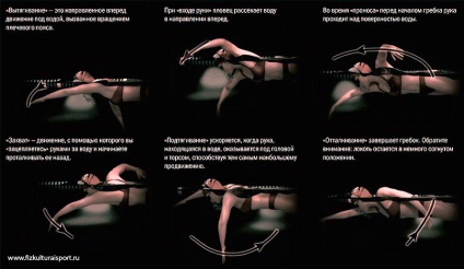 Referință înotător (ciclu de accident vascular cerebral) Repertoriul înotător