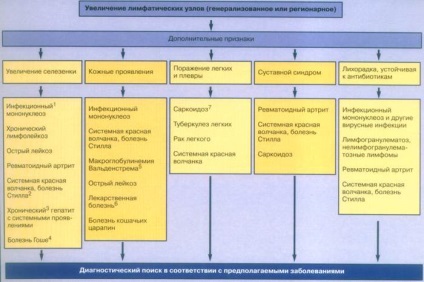 Director ambulatoriu medic (antibiotice, tratament chirurgical) Director medic ambulatoriu