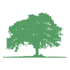 Fii un consultant, meitan24 - vânzarea și livrarea de produse cosmetice MejTan (articolul) Fii un consultant, meitan24 - vânzare și livrare MejTan cosmetice