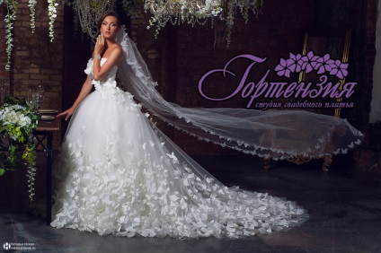 Butterfly (fluturi fluture rochie) rochie de mireasa Rochii de mireasa fluture