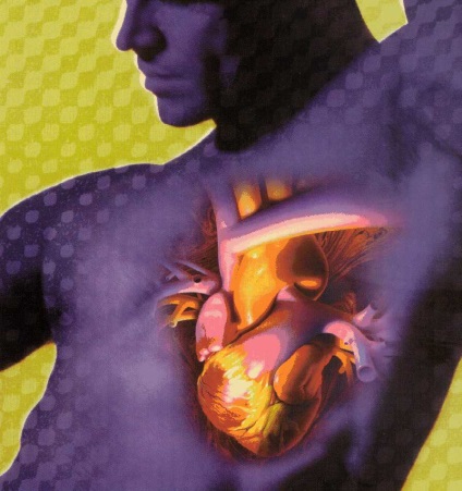 Fat Burning (vor fi luate măsuri adecvate) arderea grasimilor