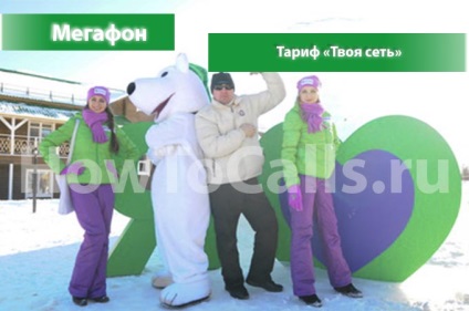 Tarif „rețea“ pe un megafon - descriere tarifară a modului în care să se conecteze și cum să dezactivați planul tarifar (dvs.) Tarif „rețea“ pe un megafon - descriere tarifară a modului în care să se conecteze și cum să opriți planul de date
