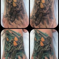 Tatuaj broască țestoasă tatuaj semnificație, fotografii, schițe (tatuaj) Tatuaj broască țestoasă tatuaj semnificație, fotografii, schițe