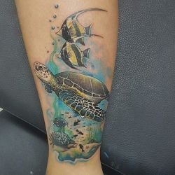 Tatuaj broască țestoasă tatuaj semnificație, fotografii, schițe (tatuaj) Tatuaj broască țestoasă tatuaj semnificație, fotografii, schițe