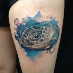 Tatuaj broască țestoasă tatuaj semnificație, fotografii, schițe (foto) Tatuaj broască țestoasă tatuaj semnificație, fotografii, schițe