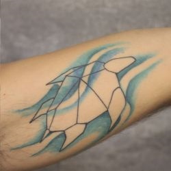 Tatuaj broască țestoasă tatuaj semnificație, fotografii, schițe (tatuaj) Tatuaj broască țestoasă tatuaj semnificație, fotografii, schițe