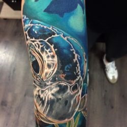 Tatuaj broască țestoasă tatuaj semnificație, fotografii, schițe (valoare) Tatuaj broască țestoasă tatuaj semnificație, fotografii, schițe