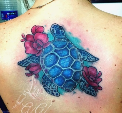 Tatuaj broască țestoasă tatuaj semnificație, fotografii, schițe (valoare) Tatuaj broască țestoasă tatuaj semnificație, fotografii, schițe