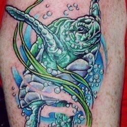 Tatuaj broască țestoasă tatuaj semnificație, fotografii, schițe (Turtle) Tatuaj broască țestoasă tatuaj semnificație, fotografii, schițe