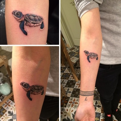 Tatuaj broască țestoasă tatuaj semnificație, fotografii, schițe (tatuaj) Tatuaj broască țestoasă tatuaj semnificație, fotografii, schițe