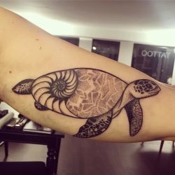 Tatuaj broască țestoasă tatuaj semnificație, fotografii, schițe (tatuaj) Tatuaj broască țestoasă tatuaj semnificație, fotografii, schițe