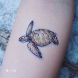 Tatuaj broască țestoasă tatuaj semnificație, fotografii, schițe (valoare) Tatuaj broască țestoasă tatuaj semnificație, fotografii, schițe