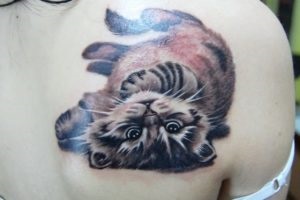 Cat tatuaj pe spate - adică fotografii, schițe (valoare) Cat tatuaj pe spate - adică fotografii, schițe