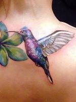 aripi de tatuaje (aripi) aripi tatuaj