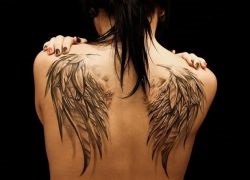 aripi de tatuaje (ceea ce înseamnă un tatuaj) aripi tatuaj