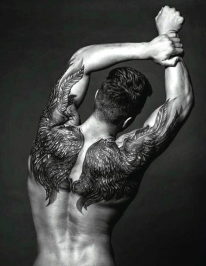 aripi de tatuaje, ceea ce înseamnă (aripi schițe de tatuaj) fotografii aripi de tatuaje, ceea ce înseamnă fotografia