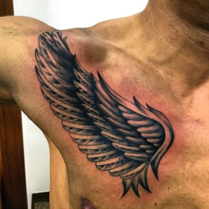 aripi de tatuaje, ceea ce înseamnă (aripi schițe de tatuaj) fotografii aripi de tatuaje, ceea ce înseamnă fotografia